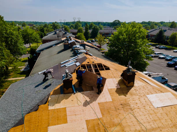 Best Flat Roof Repair Services  in Olympia Heights, FL